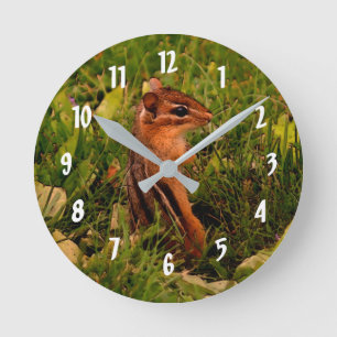 Horloge Ronde Cute Baby Chipmunk