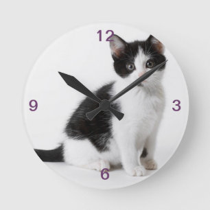 Horloge Ronde Cute Funny furry kitten black and white cat