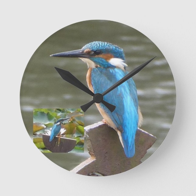 Horloge ronde Cute Kingfisher (Recto)