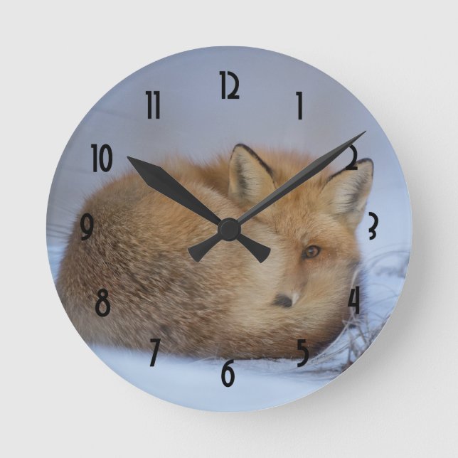 Horloge Ronde Cute Little Fox Curling Up Winter Photo (Recto)
