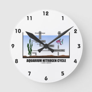 Horloge Ronde Cycle d'azote d'aquarium (écologie)