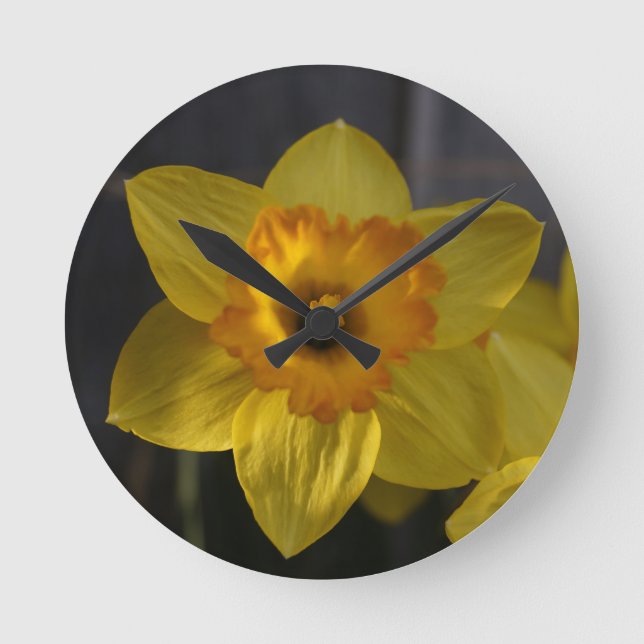 Horloge Ronde Daffodique jaune soleil (Recto)