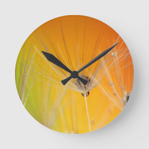 Horloge Ronde Dandelion Fleurs Destiny Peace Love Art