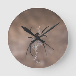 Horloge ronde de l'araignée