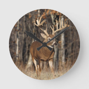 Horloge Ronde Deer