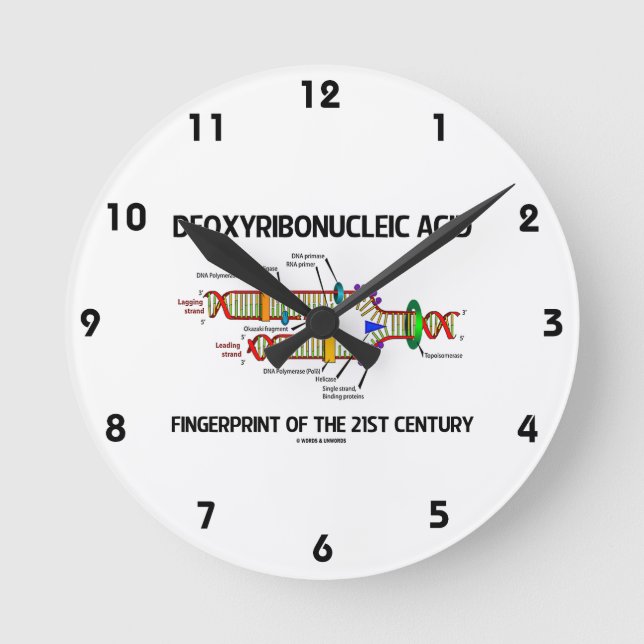 Horloge Ronde Déoxyribonucleic Acid Doigts Of 21st Century (Recto)