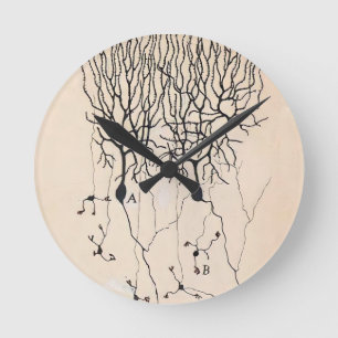 Horloge Ronde Dessin De Neurone Vintage Par Santiago Ramón y Ca