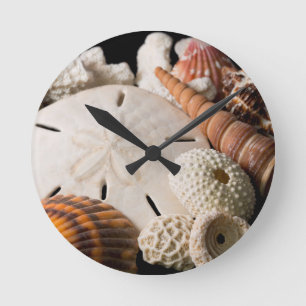 Horloge Ronde Détail de coquillages du monde entier