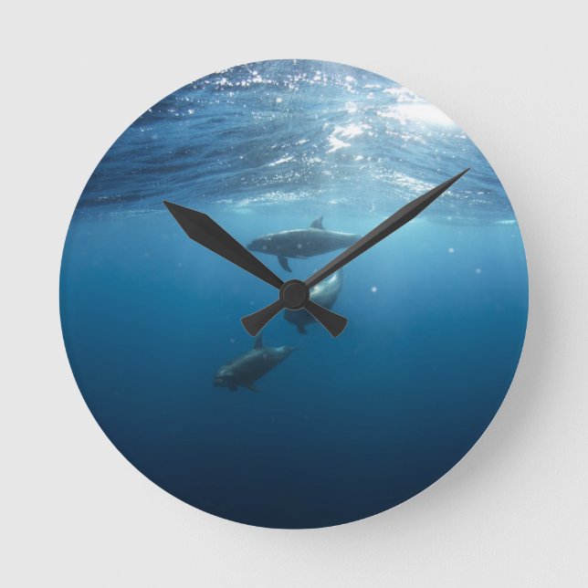 Horloge Ronde Dolphin Family (Recto)