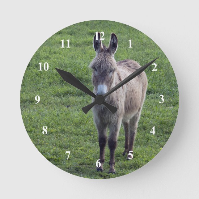 Horloge Ronde Donkey Brown Tan Animal Photo (Recto)