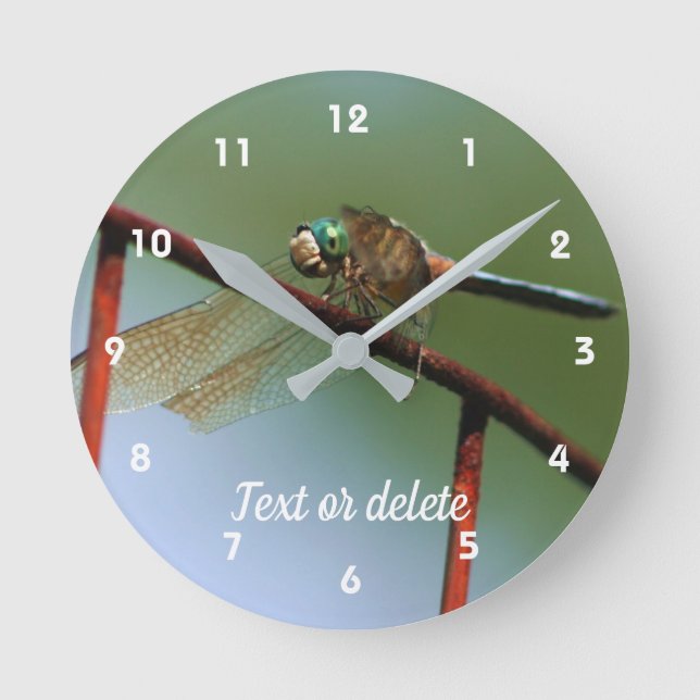 Horloge Ronde Dragonfly On Wire Fence Personnalisé (Recto)
