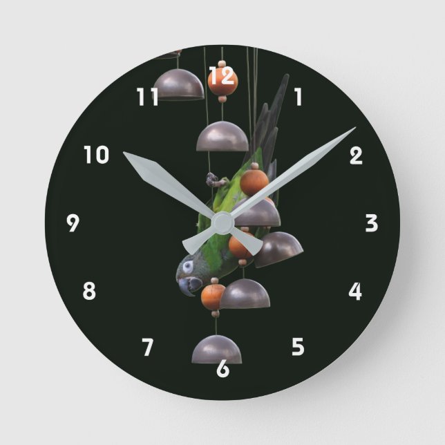 Horloge Ronde Dusky Headed Conure Parrot Cute (Recto)