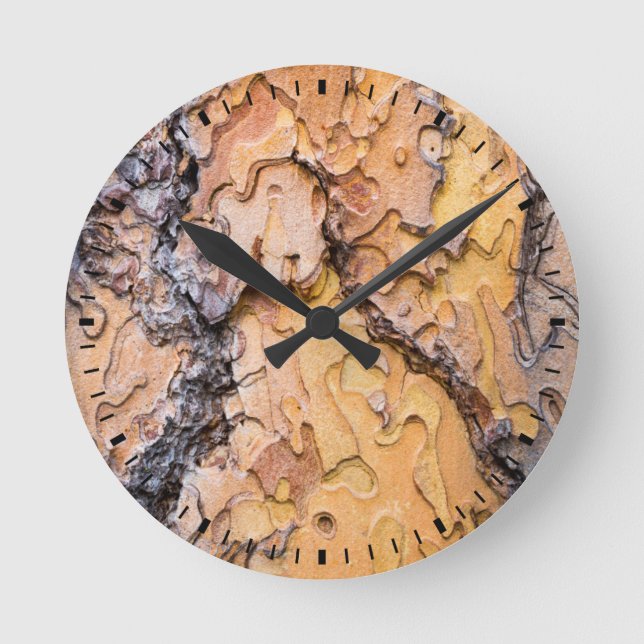 Horloge Ronde écorce de pin Ponderosa, Washington (Recto)