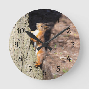 Horloge Ronde Écureuil rouge mignon sur l'arbre poster lancer l'
