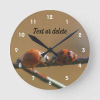 Embrasser Ladybugs Sur Une Clôture De Fil Personna