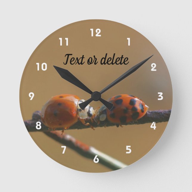 Horloge Ronde Embrasser Ladybugs Sur Une Clôture De Fil Personna (Recto)