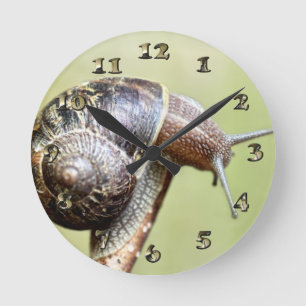 Horloge Ronde Escargots - Le Plaisir Riche