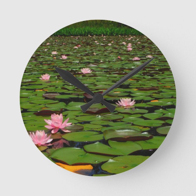 Horloge Ronde Étang rose de fleur de nénuphar de lotus (Recto)