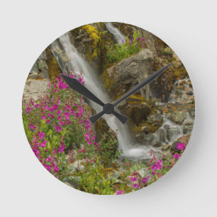 Horloge Ronde États-Unis, Alaska, Glacier Bay National Park. Fe