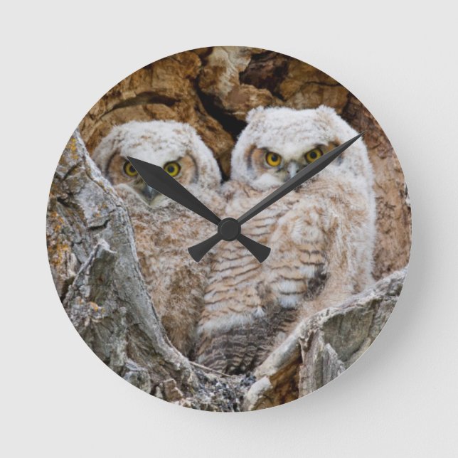 Horloge Ronde États-Unis, Wyoming, Grand Teton National Park 2 (Recto)