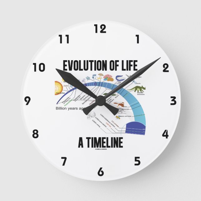 Horloge Ronde Évolution De La Vie Un Calendrier (Biologie) (Recto)