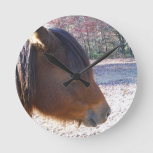 Horloge Ronde Fermez-vous du cheval Brown, peu poney de brun