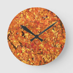 Horloge Ronde Feuilles d'automne sur arbre - photo.  