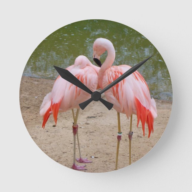 horloge ronde flamingo rose (Recto)