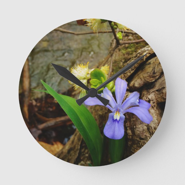 Horloge Ronde Fleur blanche pourpre bleu Iris (Recto)