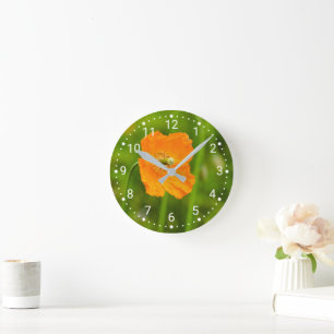 Horloge Ronde Fleur De Pavot Orange En Floraison Photo Green