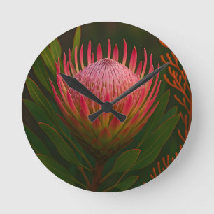 Horloge Ronde Fleur de Protea Rose Exotique en Fleur