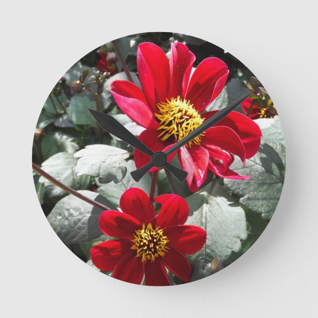 Horloge Ronde fleurs roses d'un rouge ardent de marguerite/margu (Recto)