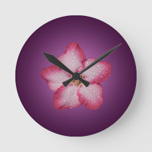 Horloge Ronde Flore rose Adenium Violet rayé