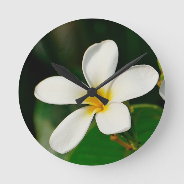 Horloge Ronde Frangipani blanc (Recto)