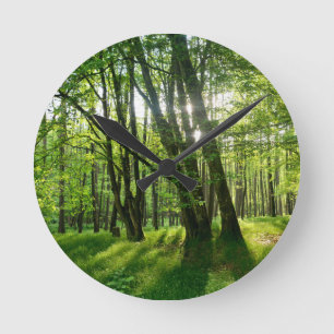 Horloge Ronde Frühlingswald