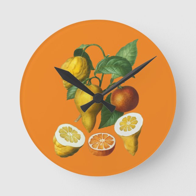 HORLOGE RONDE FRUITS DE CITRÉ (Recto)