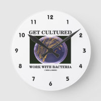 Get Cultured Work With Bacteria
