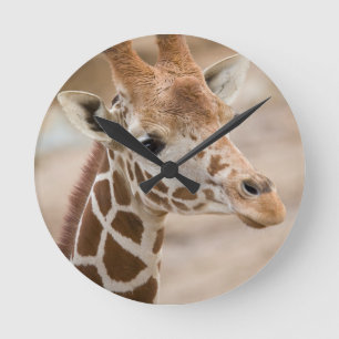 Horloge Ronde Girafe