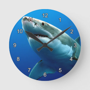 HORLOGE RONDE GRAND REQUIN BLANC 3