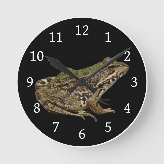 Horloge Ronde Grenouille (Recto)
