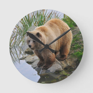 Horloge Ronde Grizzly Oear Wildlife Animal Photographie