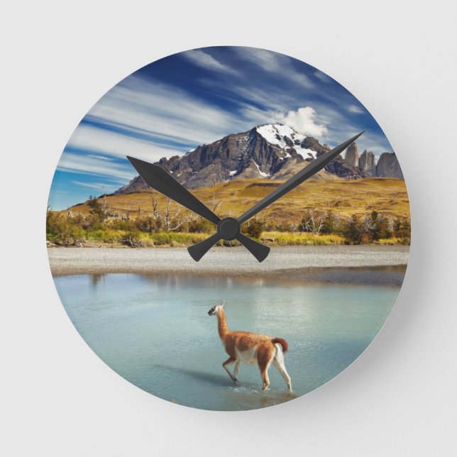 Horloge Ronde Guanaco traversant la rivière à Torres del Paine (Recto)