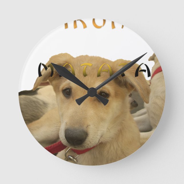 Horloge Ronde "Hakuna Matata Pup" - Insouciant Amour des chiots (Recto)