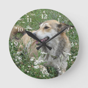 Horloge Ronde Herbe verte Clockface 1 de chien mignon