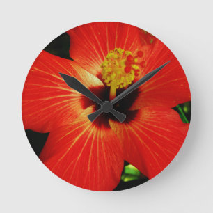 Horloge Ronde Hibiscus rouge