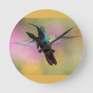 Horloge Ronde Humming Bird