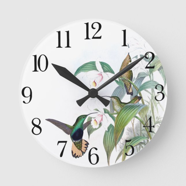 Horloge Ronde Hummingbird Bird (Recto)