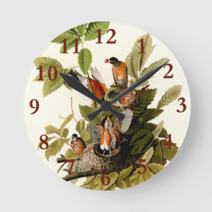 Horloge Ronde Illustration Audubon American Robin Wildlife Bird