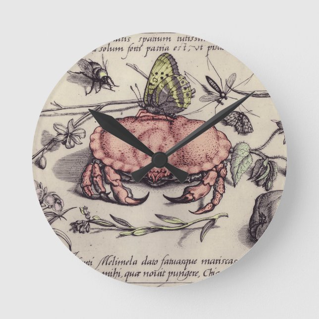 Horloge Ronde Illustration de la fleur d'insectes botaniques du  (Recto)