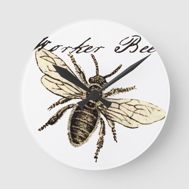 Horloge Ronde Illustration de l'insecte d'abeille vintage (Recto)